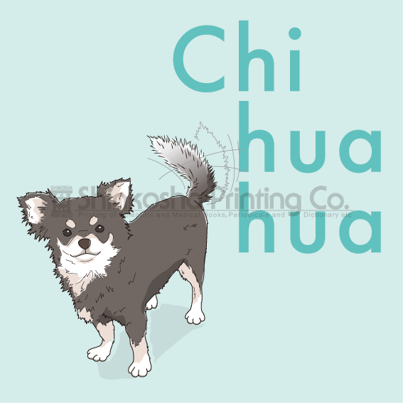 Chihuahua（チワワ）