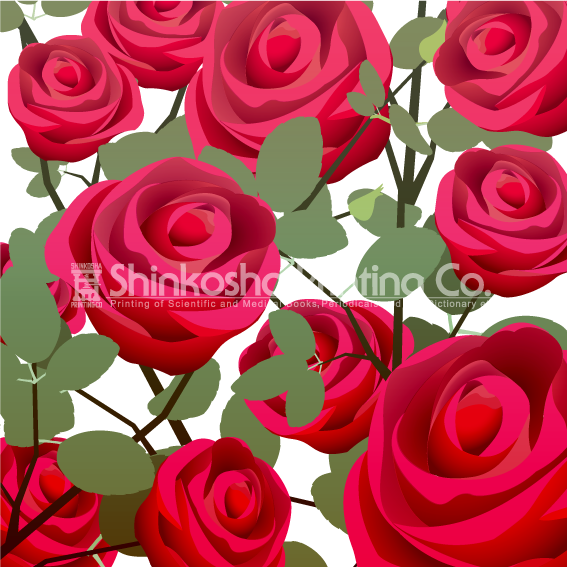 薔薇